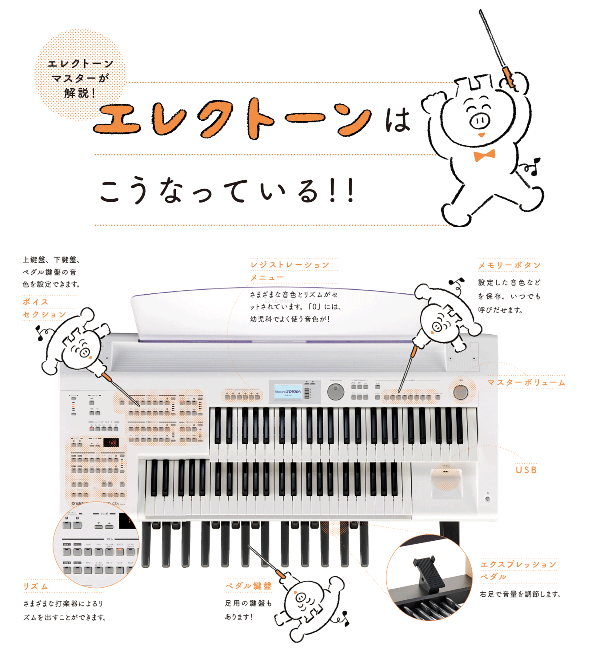 エレクトーン
マスターが解説！エレクトーンはこうなっている!!「レジストレーションメニュー」さまざまな音色とリズムがセ
ットされています。「0」には、幼児科でよく使う音色が！「メモリーボタン」設定した音色などを保存。いつでも
呼びだせます。「マスターボリューム」「U S B」「エクスプレッションペダル」右足で音量を調節します。「ペダル鍵盤」足用の鍵盤もあります！「ボイスセクション」上鍵盤、下鍵盤、ペダル鍵盤の音色を設定できます。「リズム」さまざまな打楽器によるリズムを出すことができます。